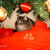 Christmas kitty. Christmas kitty.