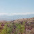 Coachella Valley Preserve, looking at the San Gorgonio area. Coachella Valley Preserve, looking at the San Gorgonio area.