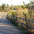 Fence on walkway at Lake Murray. Fence on walkway at Lake Murray.