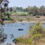 Lake Murray, San Diego. Lake Murray, San Diego.