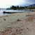 Vancouver Skyline as Viewed from Ambleside Beach Vancouver Skyline as Viewed from Ambleside Beach