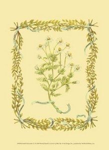 Small Chamomile - Poster by Wendy Russell - by Old World Prints - Amazon