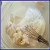 In a bowl, combine a package of cream cheese with about 2 cups of whipped cream. Mix until smooth. Set aside.