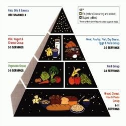 USDA Food Pyramid - Follow the old nutritional standards for your food storage supply. (The USDA does not endorse, approve, or sponsor any product)