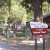 We call this the "lower forest service" area. We call this the "lower forest service" area.