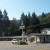 The Forest Lodge. The Forest Lodge.