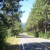 Now a walk along highway 96... I'm almost home. Now a walk along highway 96... I'm almost home.