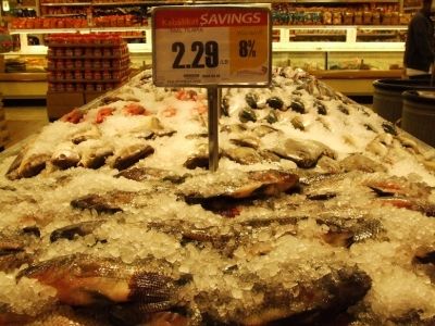 Taal tilapia, packed in ice at a Seafood City supermarket, Tukwilla, Washington