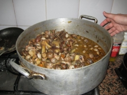 tapas in soller, snails