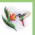 Humming Bird 1 Humming Bird 1
