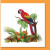 Parrot Parrot