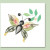 Butterfly 1 Butterfly 1