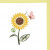 Sunflower Sunflower