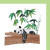 Panda Panda