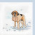 Saint Bernard Saint Bernard