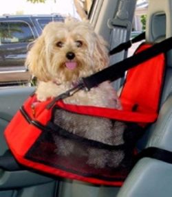 Buy pet car seat here.