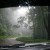 Driving through the Northern Range after a rainstorm Driving through the Northern Range after a rainstorm