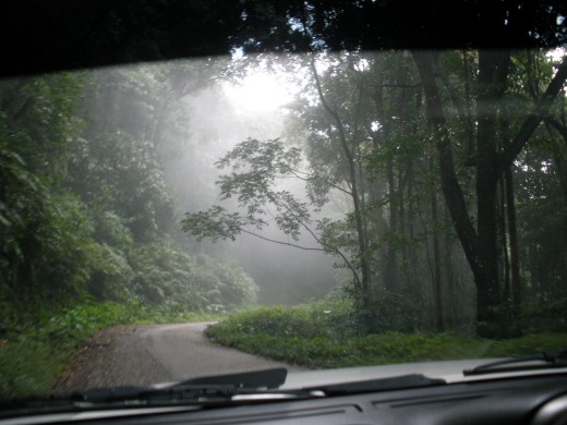 Driving through the Northern Range after a rainstorm