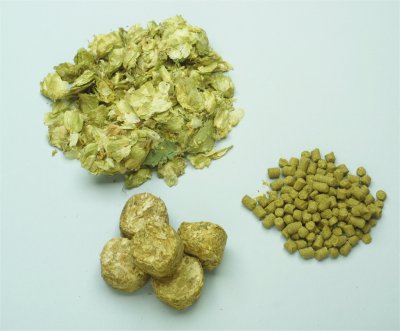 Hops in all the different forms they are used as in brewing.  (image from: www.thebeerkeg.co.za)  