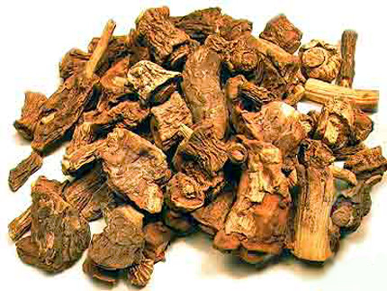 dried sarsaparilla root dried sarsaparilla root