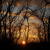 A lovely autumn sunset A lovely autumn sunset
