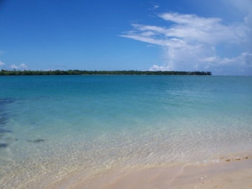 Paradise