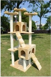 6 foot Cat Tree Condo
