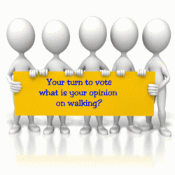 Walking opinion poll vote