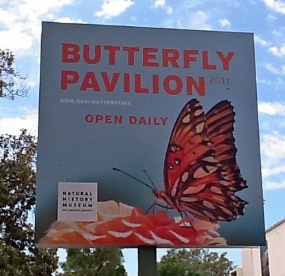 The Butterfly Pavilion, an outdoor exhibit that is a part of the Natural History Museum.