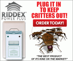 Get Rid Roaches