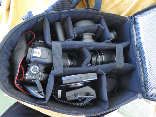 AmazonBasics Backpack for SLR Cameras and Accessories-Black