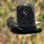 Siskin Siskin