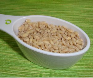 Measure the Barley