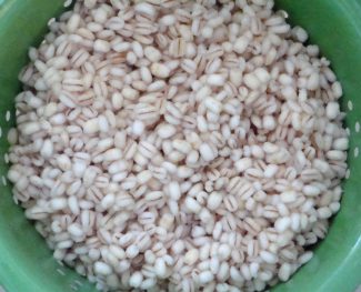 Cooked Barley to be Strained