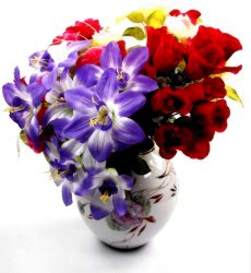 Image by Clarita