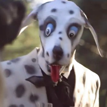 The Dog from The Fox Video by Ylvis. Screen Shot from YouTube.