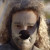 The Seal from The Fox Video by Ylvis. Screen Shot from YouTube. The Seal from The Fox Video by Ylvis. Screen Shot from YouTube.