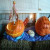 This pumpkin has been carved into a pirate's ship and the sails are made from soft cover paperback books. This pumpkin has been carved into a pirate's ship and the sails are made from soft cover paperback books.