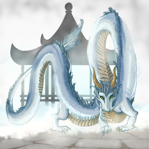 Click for a better view