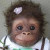 Photo Credit: pinterest.com/pin/74450200060242448/ Photo Credit: pinterest.com/pin/74450200060242448/