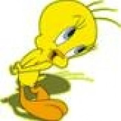 BlogsWriter profile image