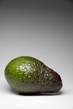 The Avocado