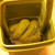 Pickles in the juice. Pickles in the juice.