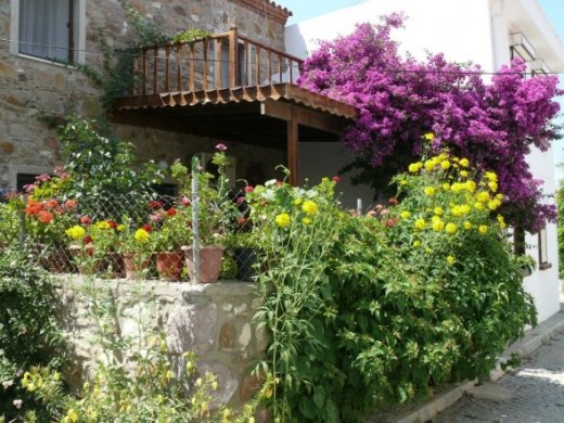Houses in Bozcada are decorated with flowers