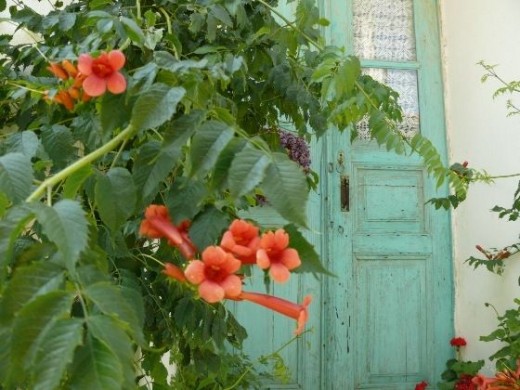 Old houses have lovely woden doors