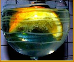 lemon,lemon diet