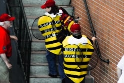 Houston Astros 'Killer Bees' as portrayed by fans.