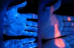 Fluorescent Powder and Gel Supported by CDC