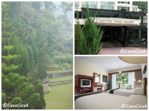Photo Credit: Casa Cicak