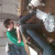 The dog is very interested in the making of the Falcon! The dog is very interested in the making of the Falcon!